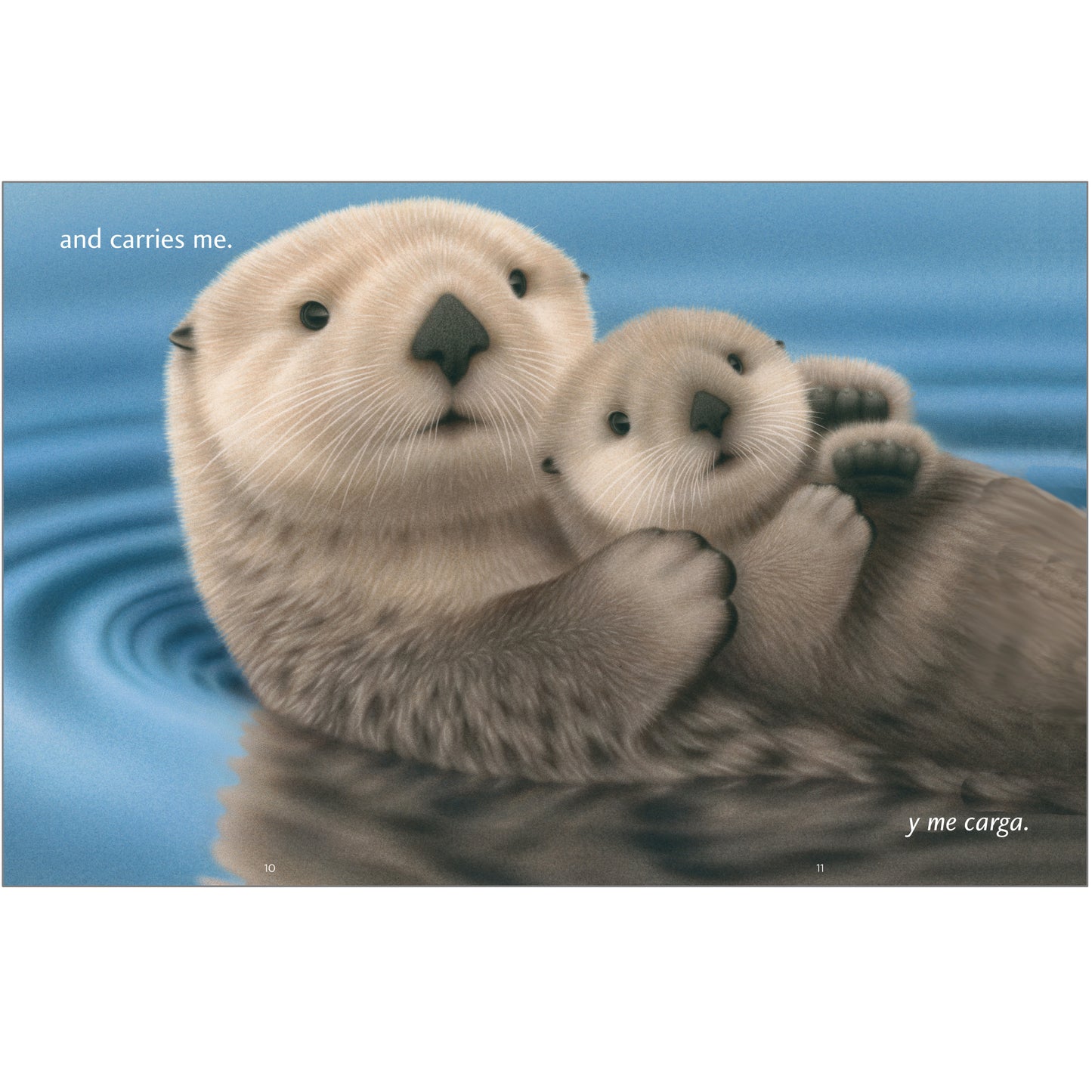 Cuddled and Carried / Consentido y cargado image 5