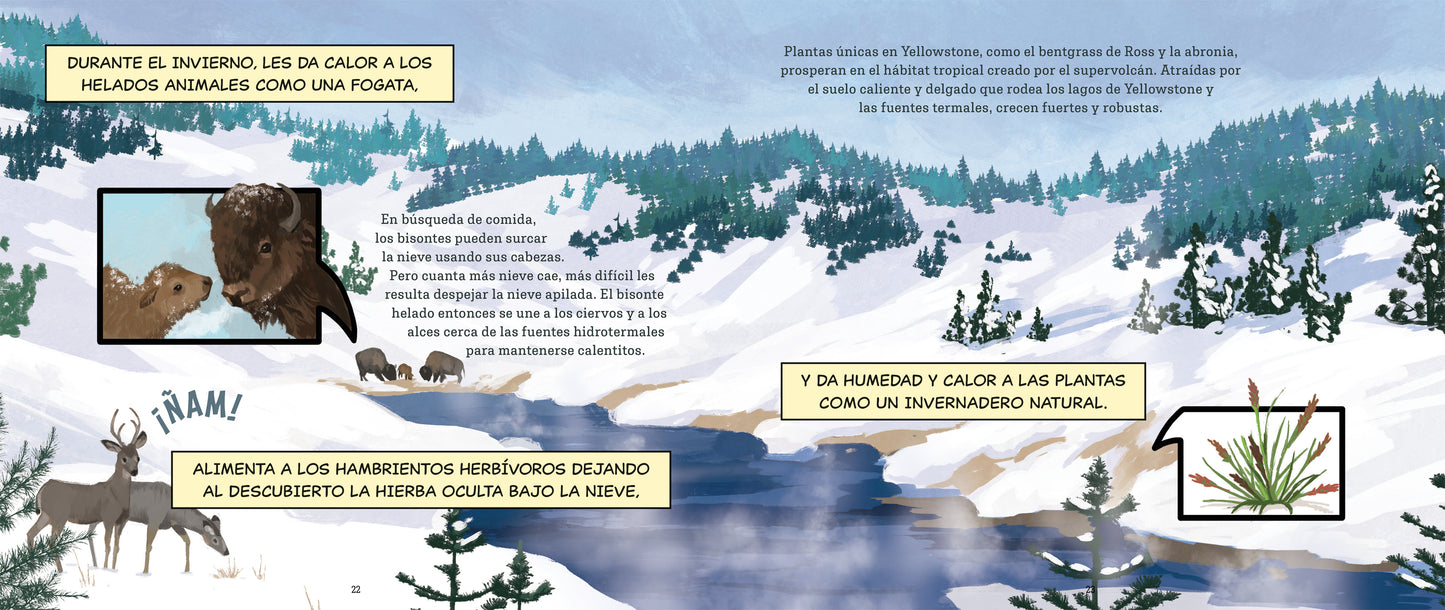 El super volcán: Un héroe oculto debajo del Parque Nacional de Yellowstone