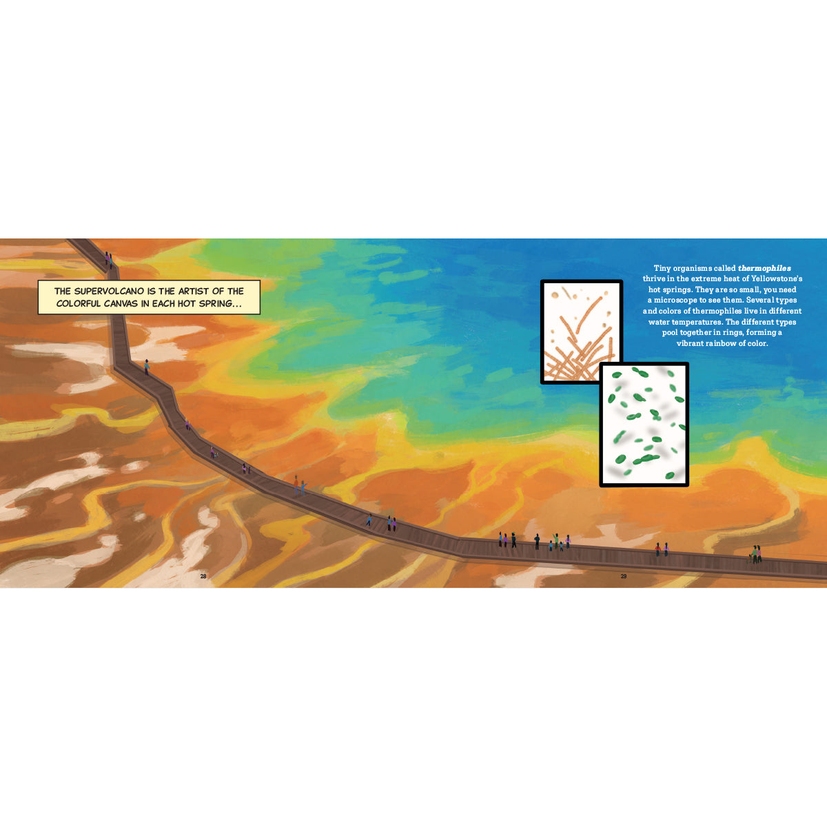 The Super Volcano: A Hidden Hero Below Yellowstone National Park