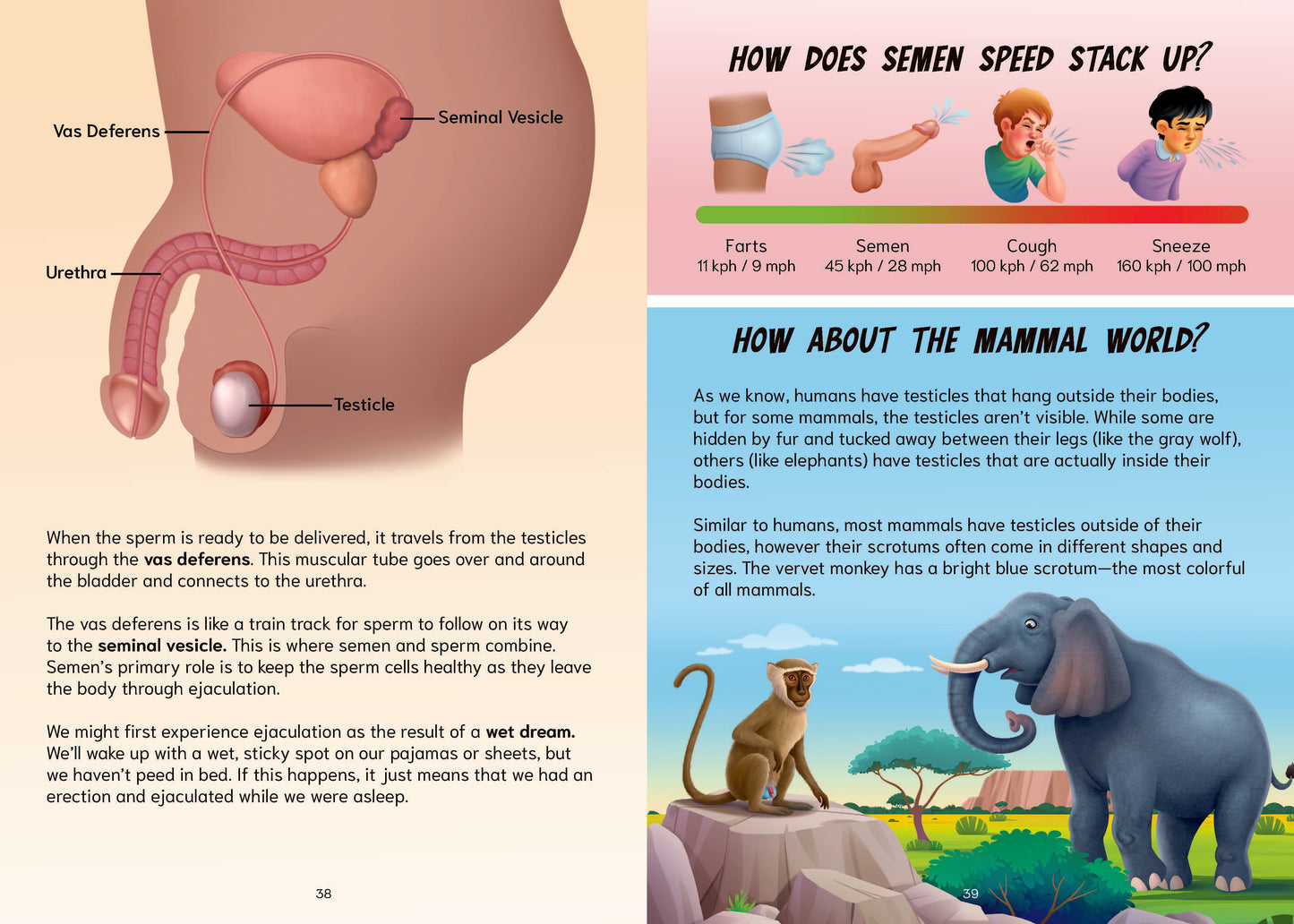 The P Word: A Manual for Mammals