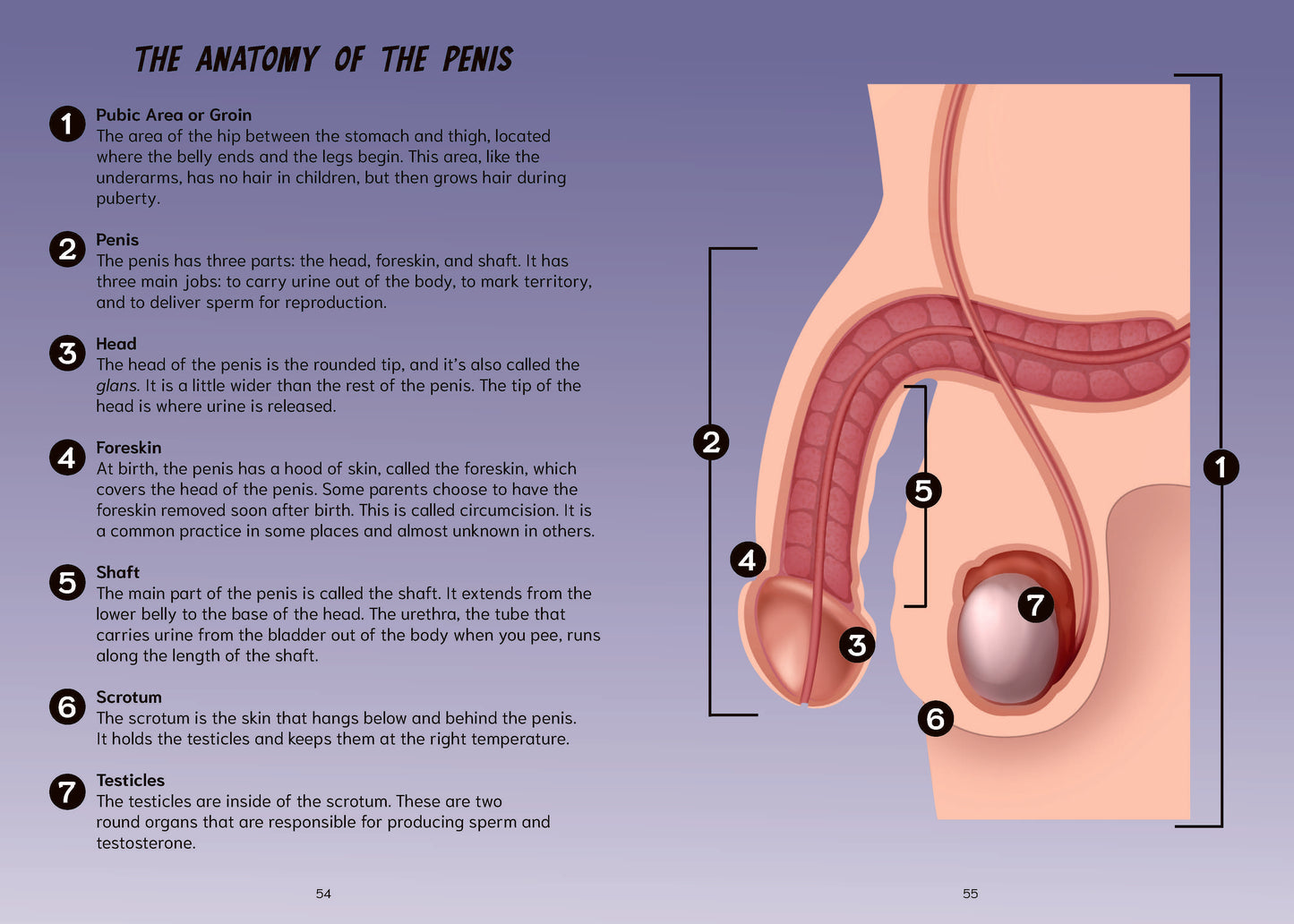 The P Word: A Manual for Mammals