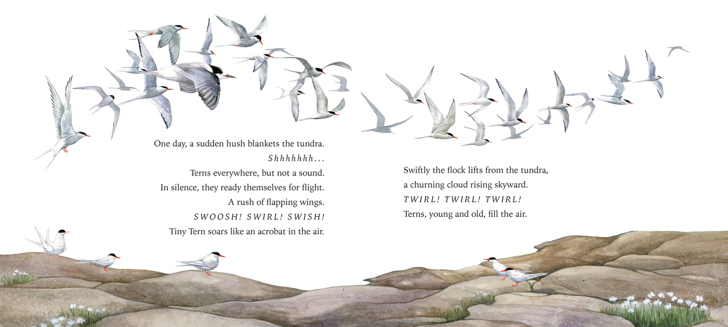 Tiny Tern Takes Flight