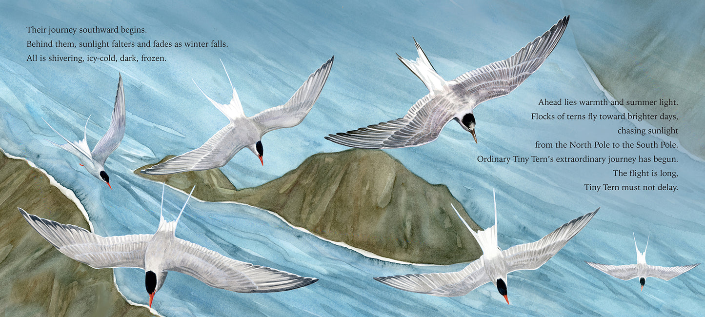 Tiny Tern Takes Flight