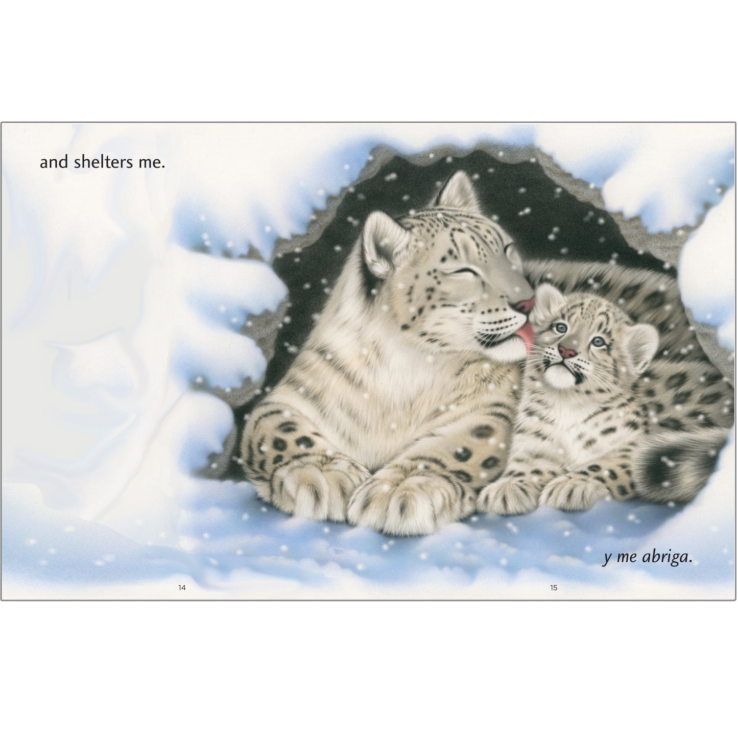 Cuddled and Carried / Consentido y cargado image 3